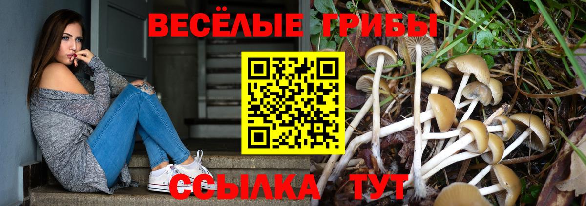 Псилоцибиновые грибы прущие грибы  Вход с VPN  Озёрск 